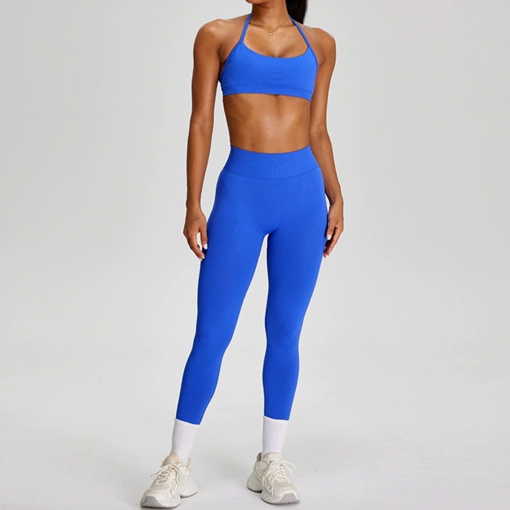 Seamless Sports Suits Women's  - Yoga Fitness Zumba reseña y precio