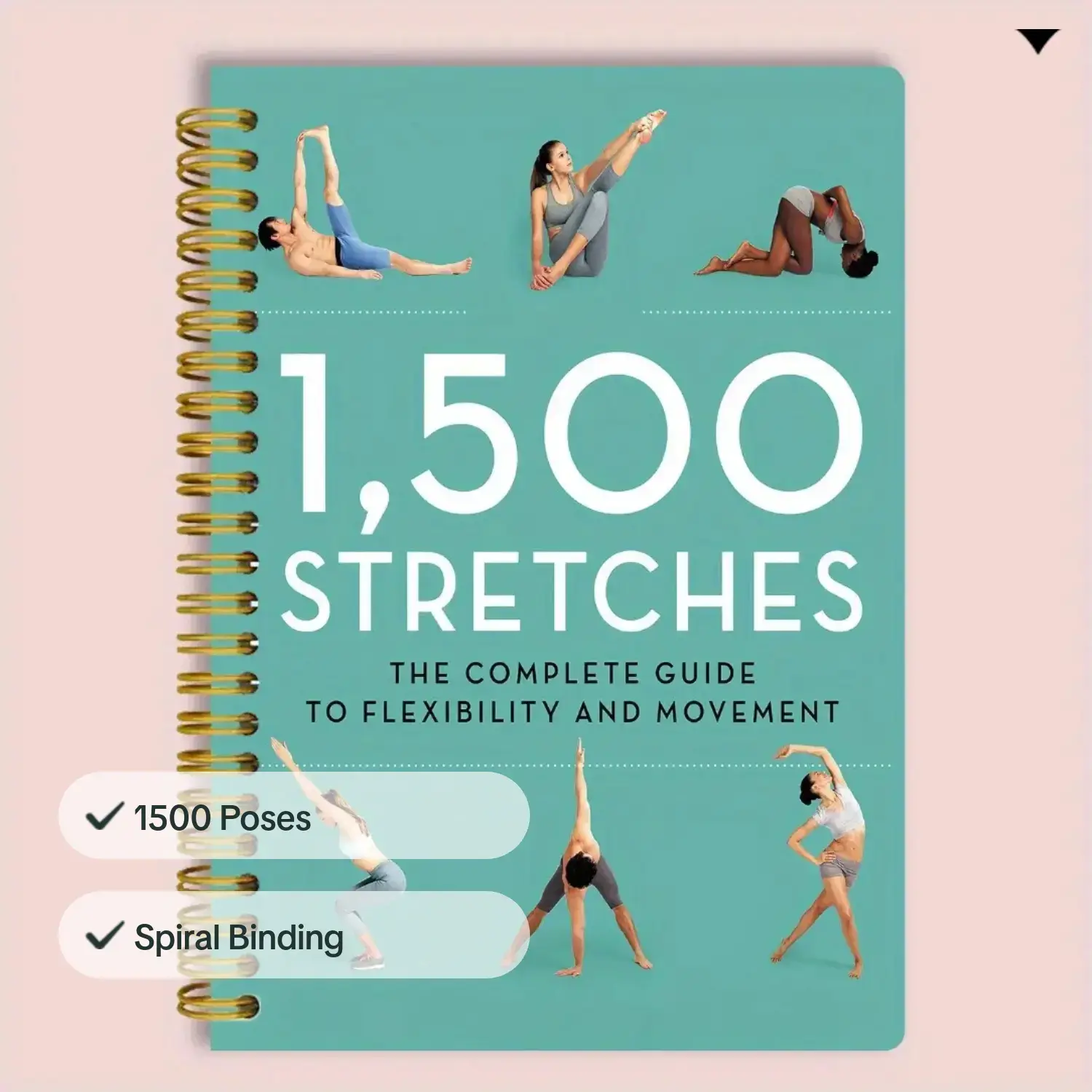 Yoga Postures & Breathing Tech - Yoga Fitness Journal reseña y precio