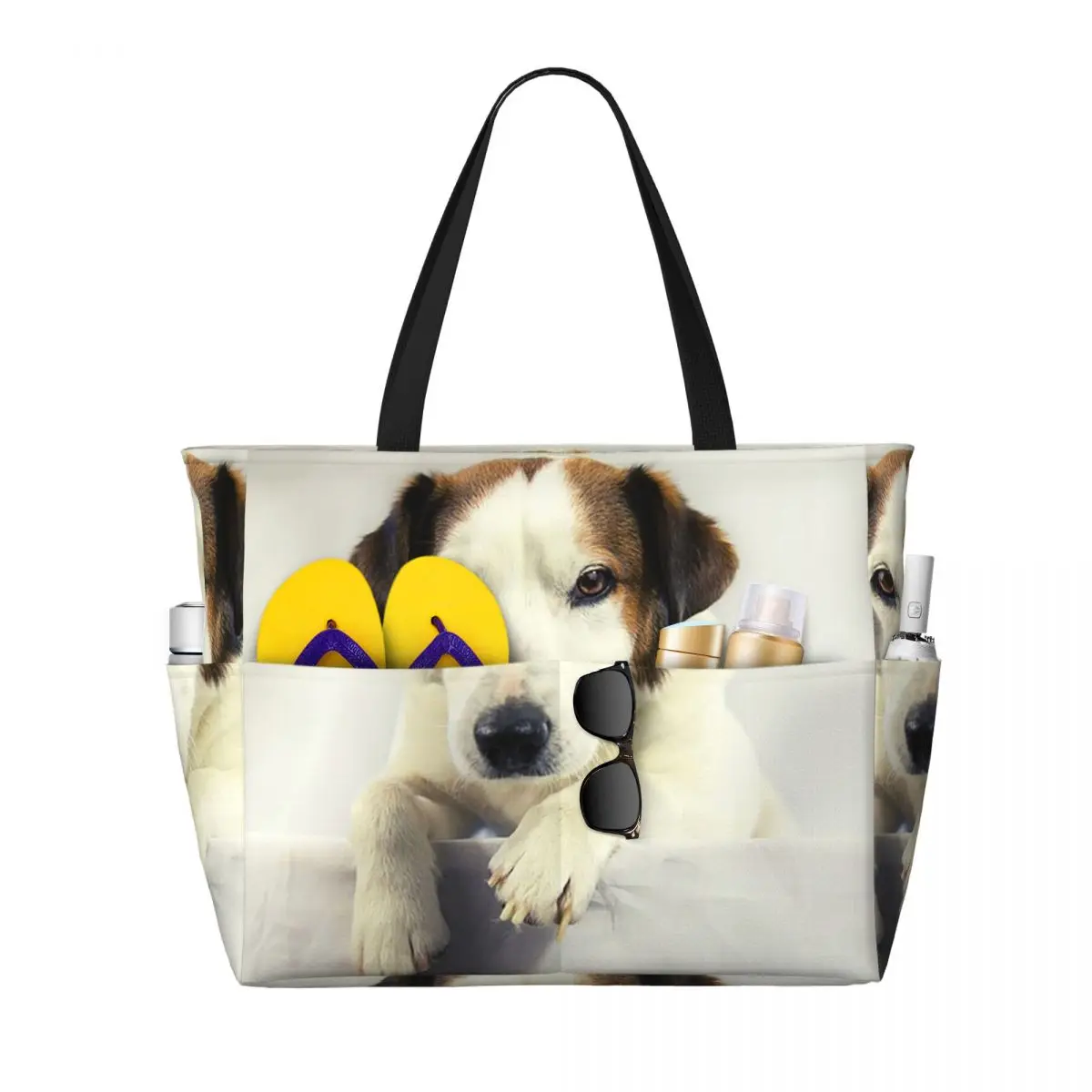 Dog Jack Russell Terrier Photo - Yoga Fitness Gym Photos reseña y precio