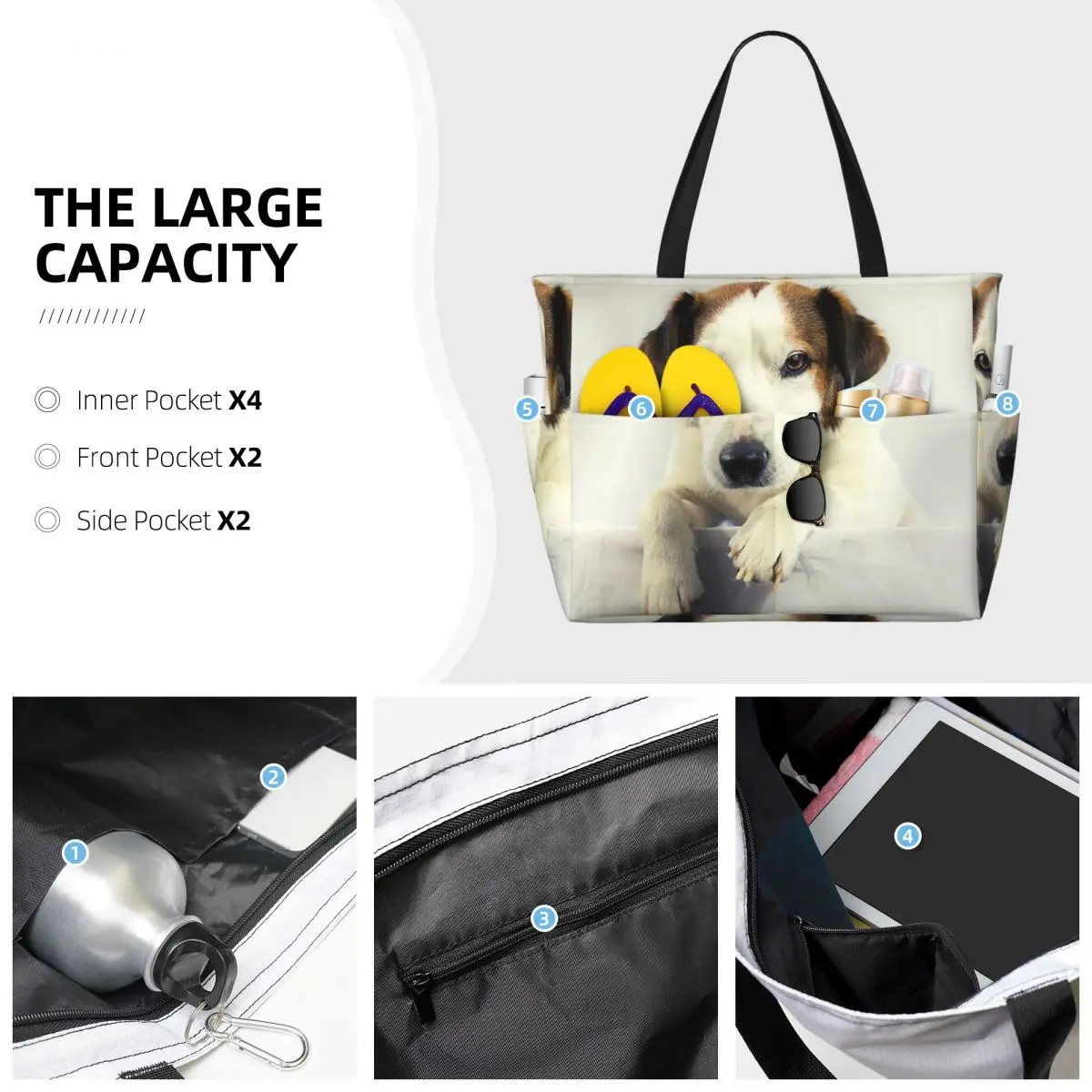 Dog Jack Russell Terrier Photo - Yoga Fitness Gym Photos reseña y precio